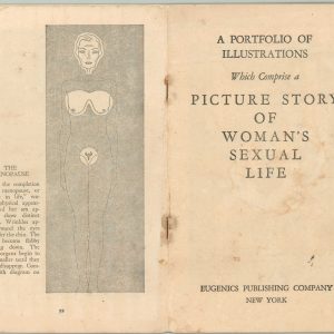 A Portfolio of Illustrations Which Comprise a Picture Story of Woman's Sexual Life