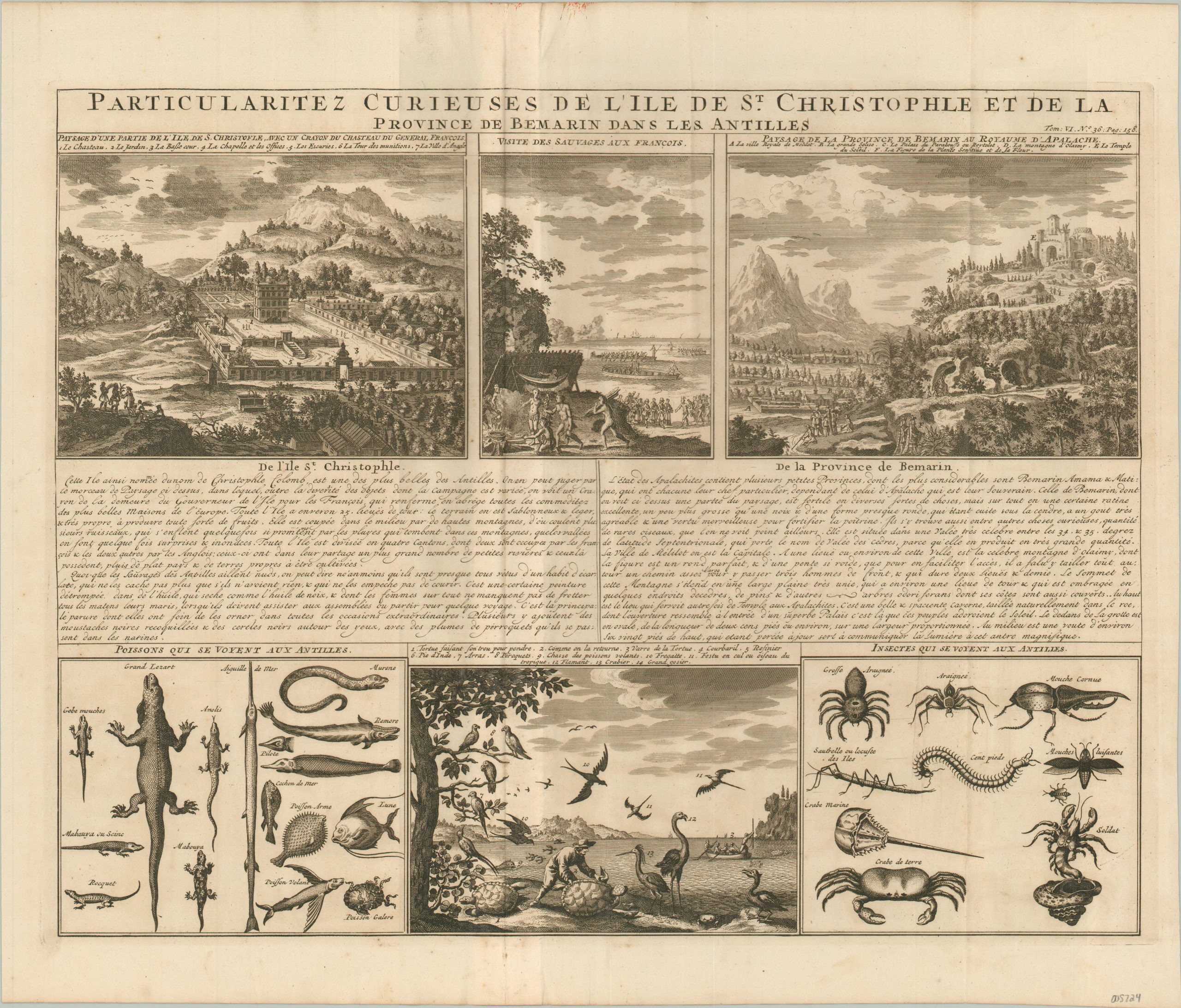 Particularitez Curieuses de L'Ile de St. Christophle et de la Province de Bermarin dans les Antilles
