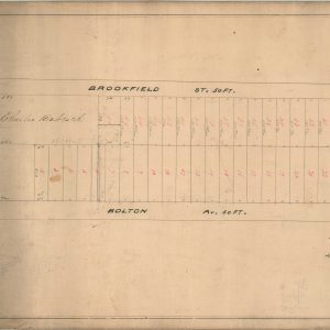 P.H. Babcock's Subdivision [Cleveland, Ohio]