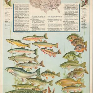 Fresh Water Game Fish of the United States