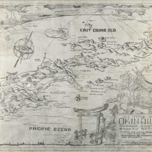 The Island of Okinawa