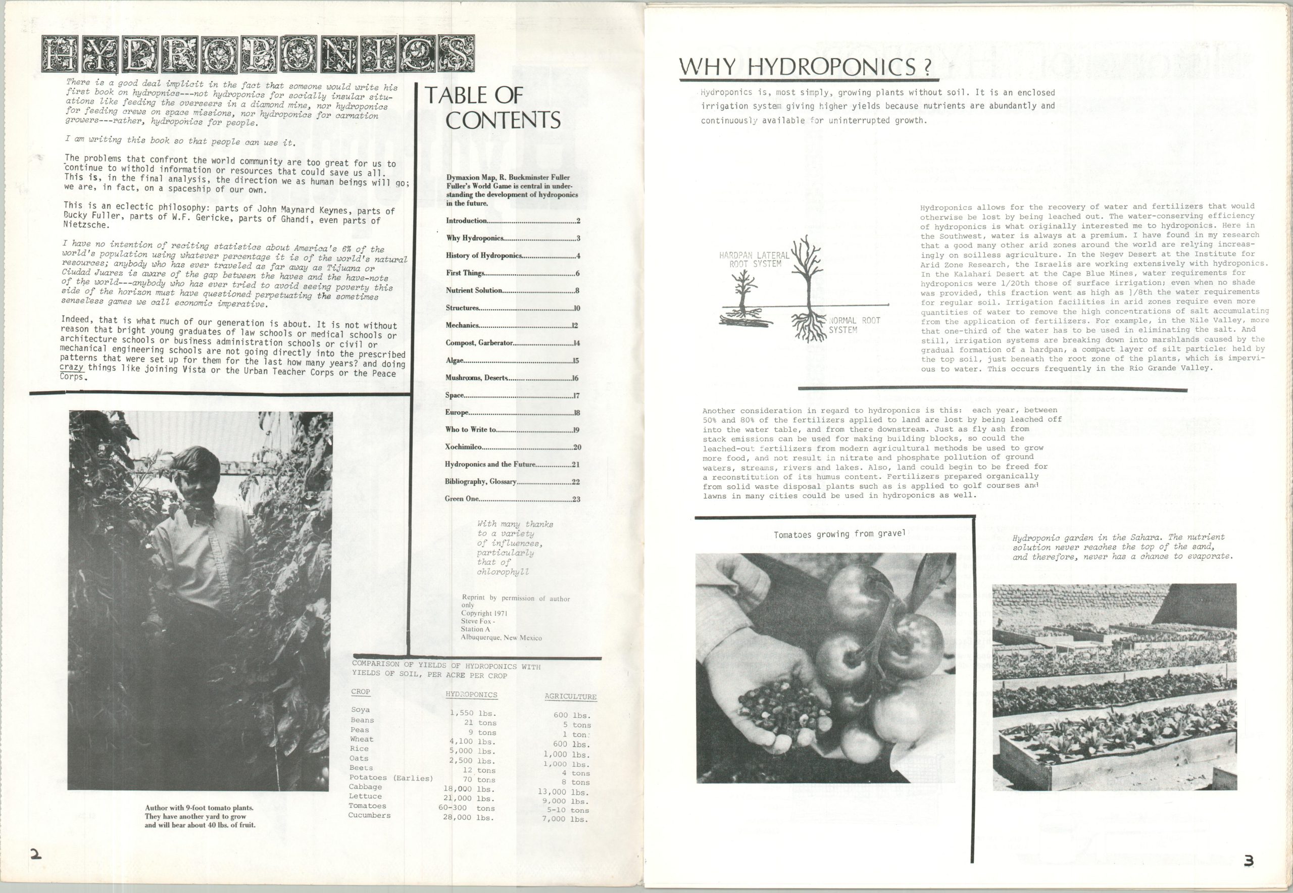 Hydroponics! - Image 3