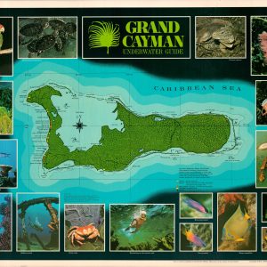 Grand Cayman Underwater Guide