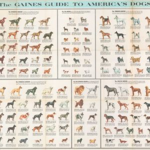 The Gaines Guide to America's Dogs