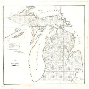 Sketch of the Public Surveys in Michigan