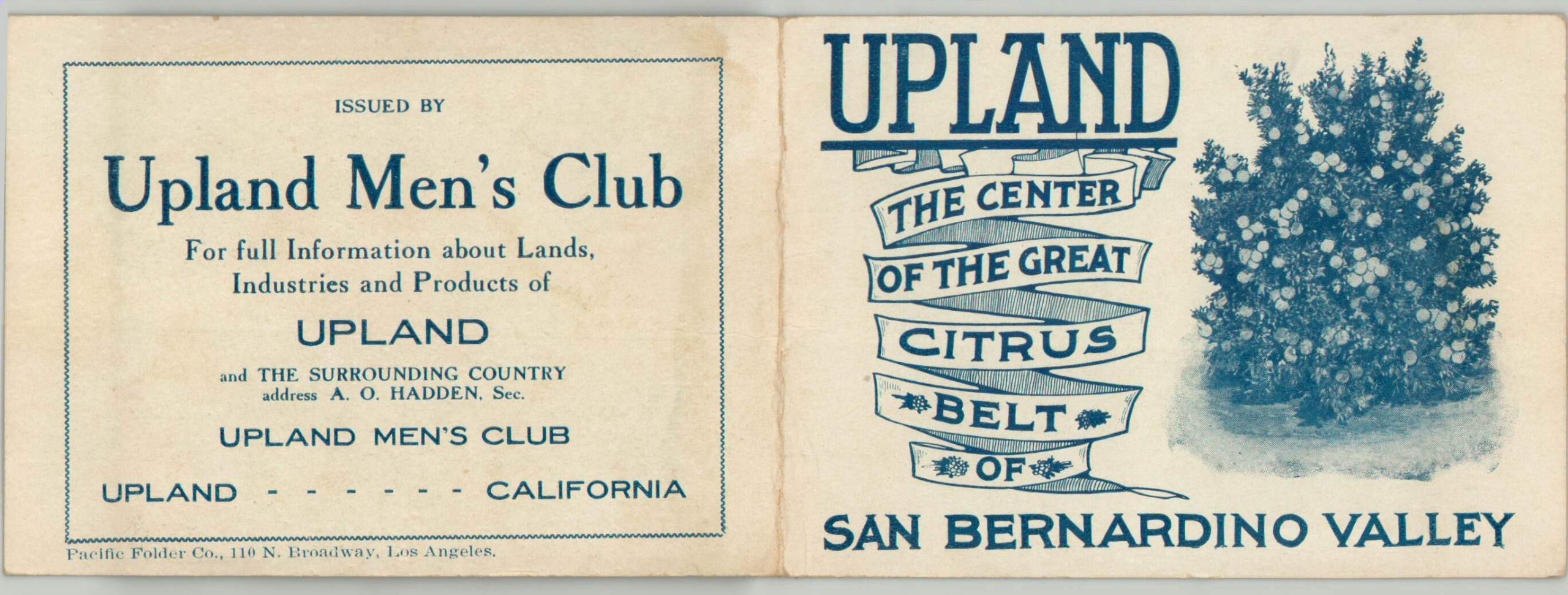 Upland The Center of the Great Citrus Belt of San Bernardino Valley