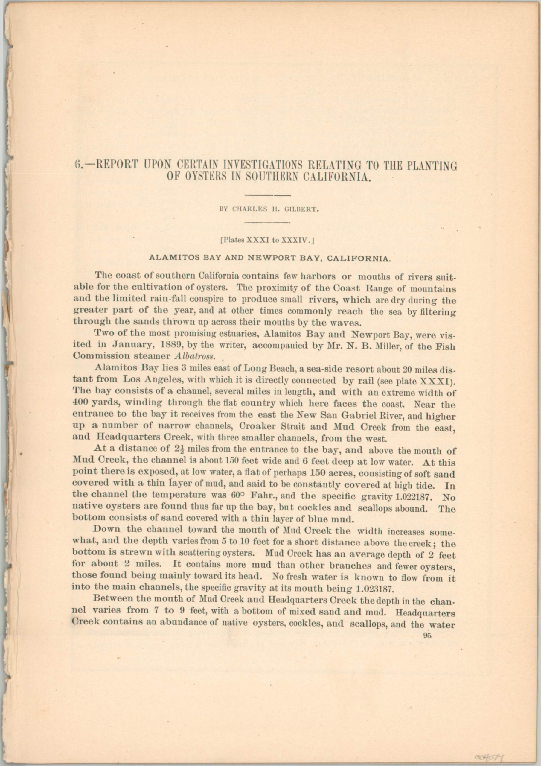 Report Upon Certain Investigations Relating to the Planting of Oysters in Southern California - Image 2