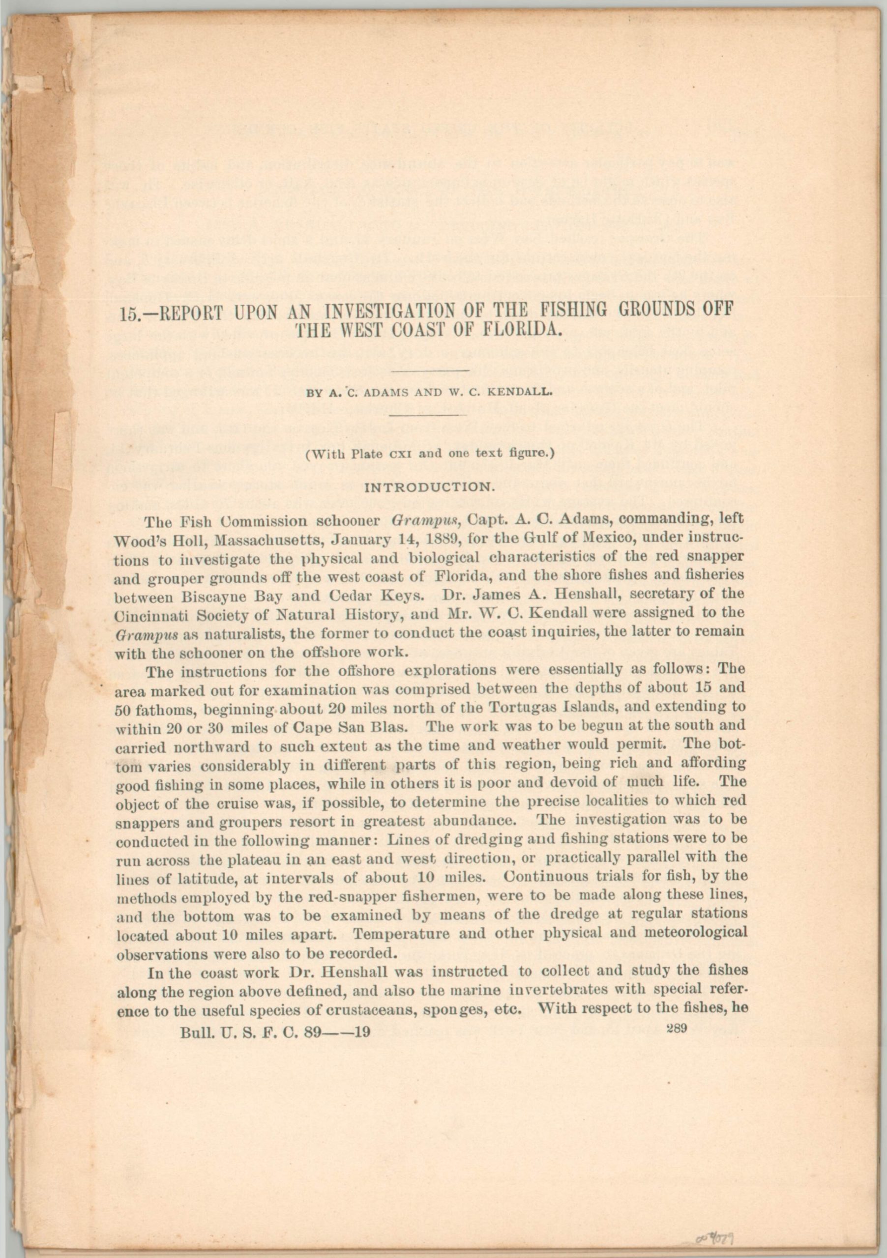 Report Upon an Investigation On the Fishing Grounds Off the West Coast of Florida - Image 2