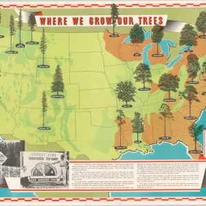 Where We Grow Our Trees