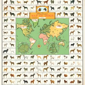 Illustrated Map of Dogs