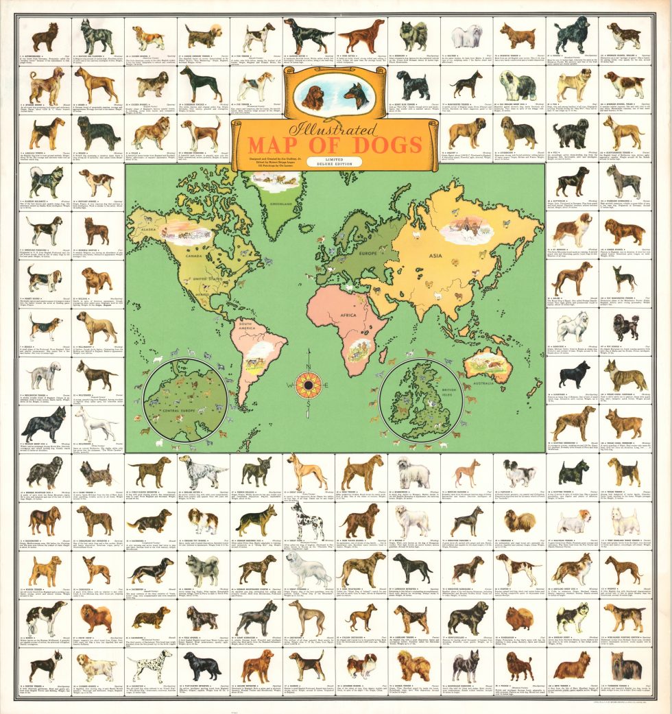 Illustrated Map of Dogs - Curtis Wright Maps