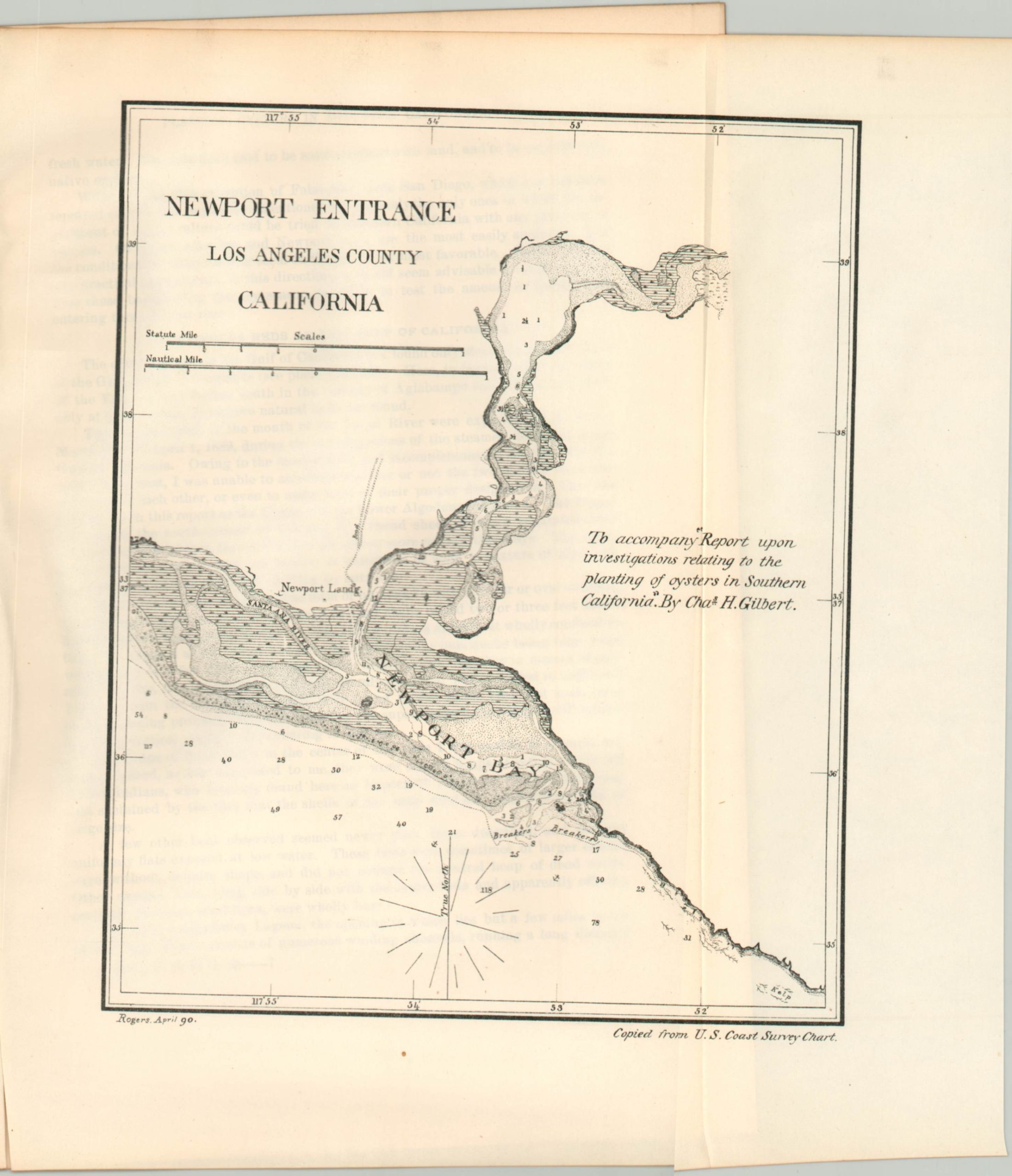 Report Upon Certain Investigations Relating to the Planting of Oysters in Southern California - Image 5
