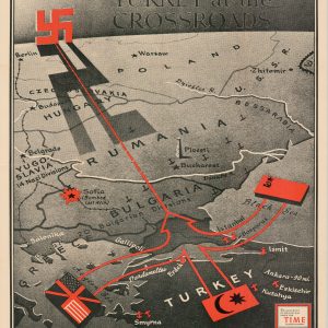 Turkey at the Crossroads