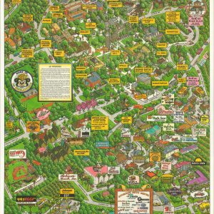 University of California Riverside