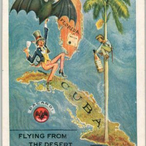 Flying from the Desert