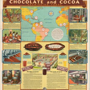 Chocolate and Cocoa Nourishing Foods