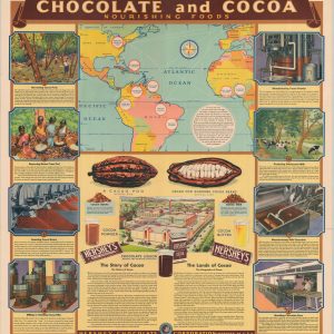Chocolate and Cocoa Nourishing Foods