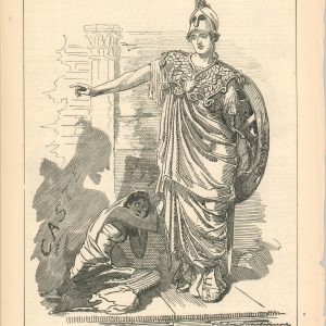 The Shield and the Shadow