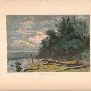 The Shore at Lake Forest