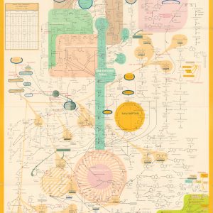 Metabolic Map