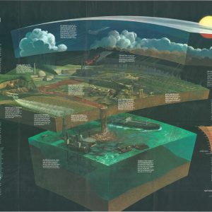 How Man Pollutes His World