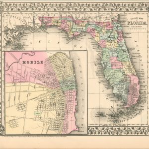 County Map of Florida